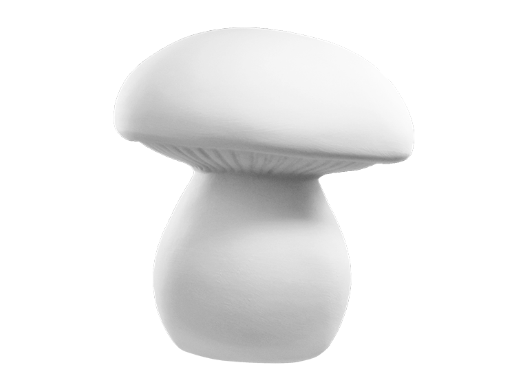 Whimsy Mushroom
