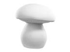 Whimsy Mushroom