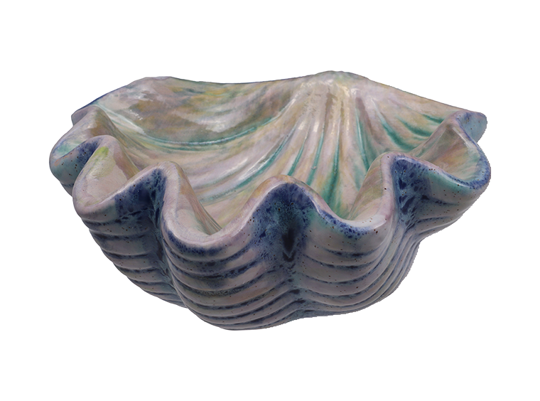 Giant Clam Shell Dish