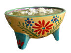 Fiesta Salsa Bowl