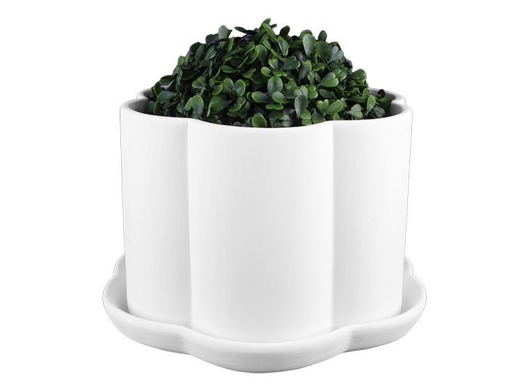 Scalloped Planter w/ Tray