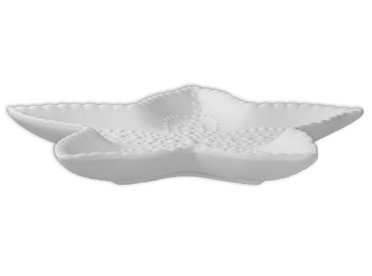 Starfish Dish