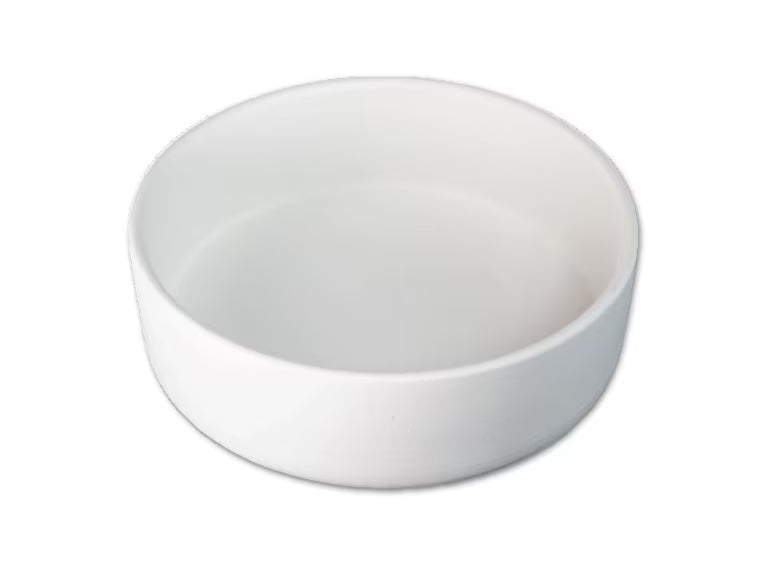 Pet Bowl Medium