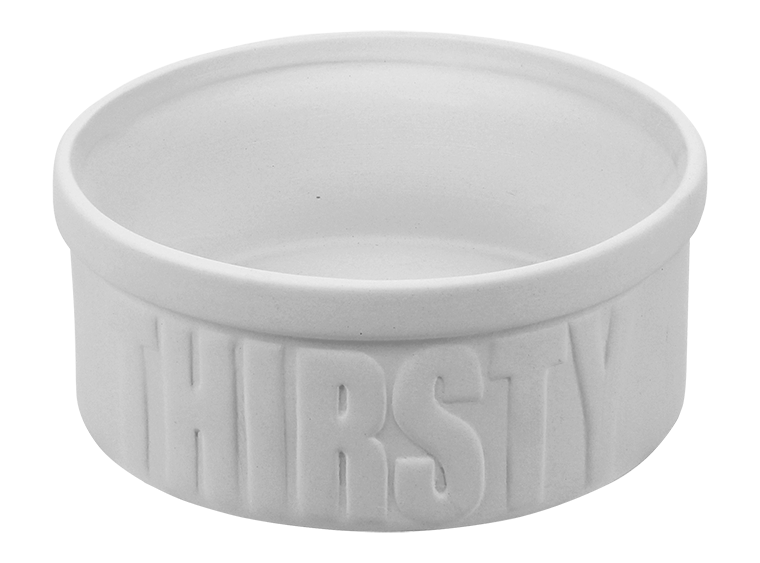 Thirsty Bowl