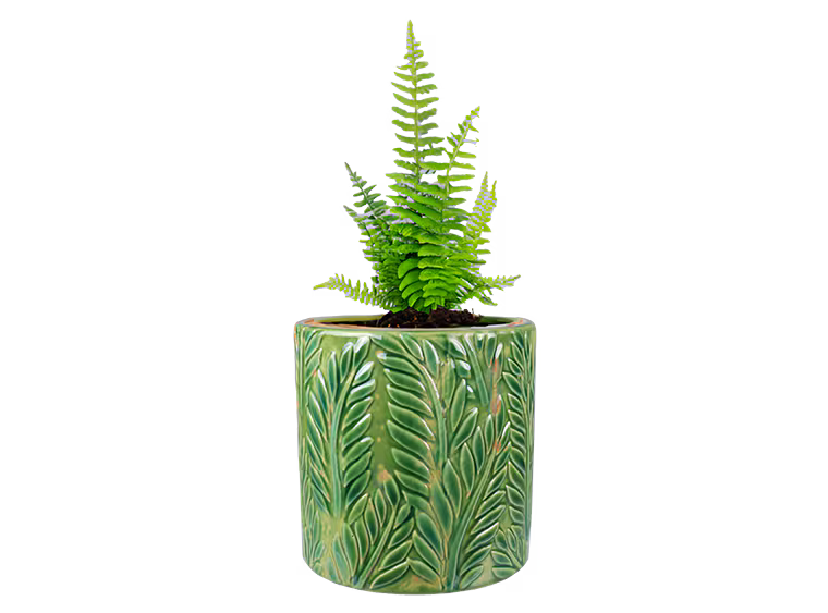 Tropical Fenn Planter