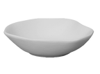 Organic Rhythms Dish