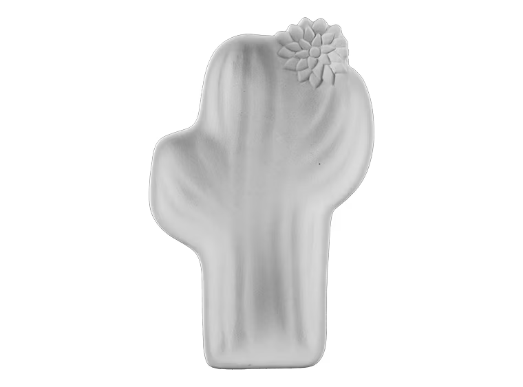 Saguaro Cactus Dish