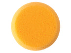Hydra Art Sponge