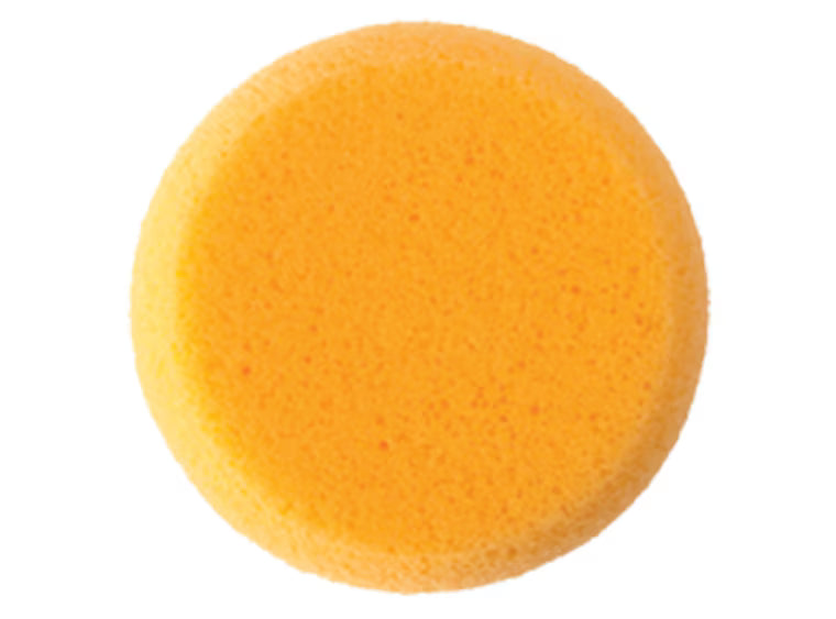 Hydra Art Sponge