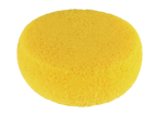 Hydra Art Sponge