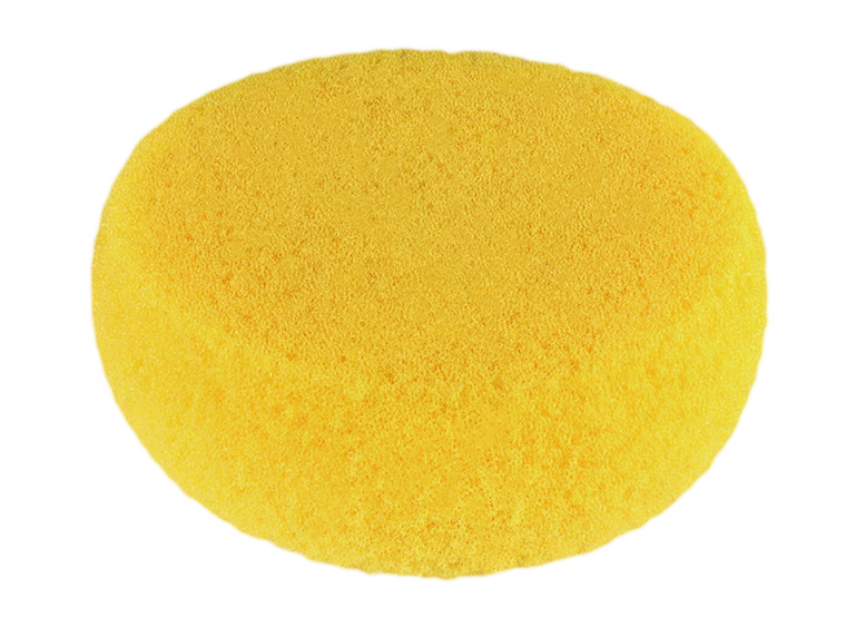 Hydra Art Sponge