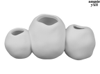Schuyler Cluster Vase