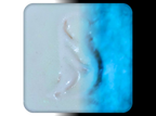 Aqua Glow in the Dark - 4 Ounces