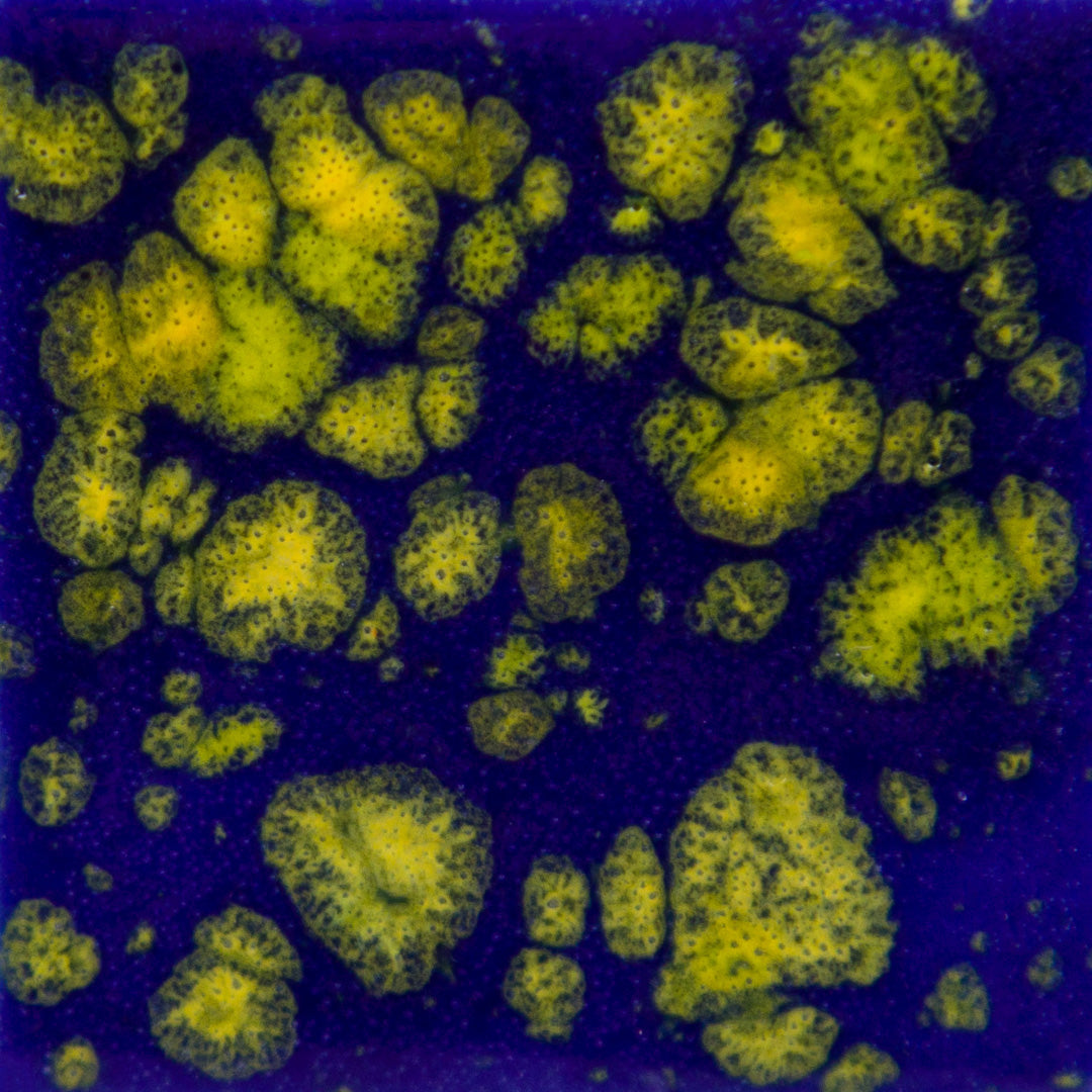 CG-990 Starry Night